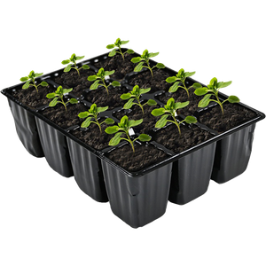 Agricultural Blister Packaging-1.png