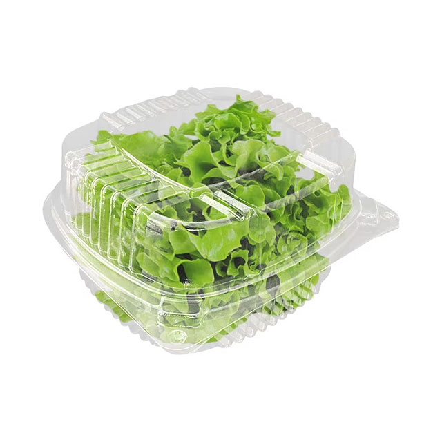 Structural features of plastic food packaging