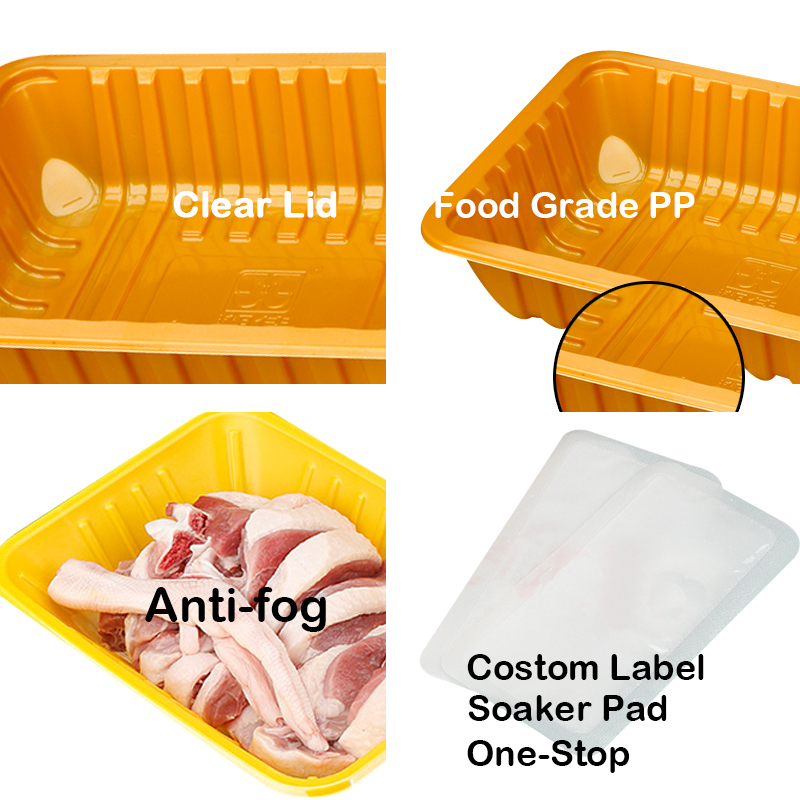 PP Frozen Food Tray details